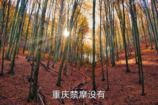 重慶禁摩沒有