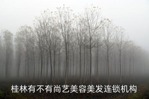 桂林有不有尚藝美容美發(fā)連鎖機(jī)構(gòu)