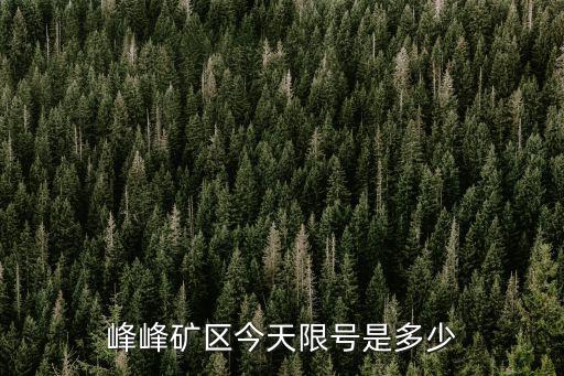峰峰礦區(qū)今天限號是多少