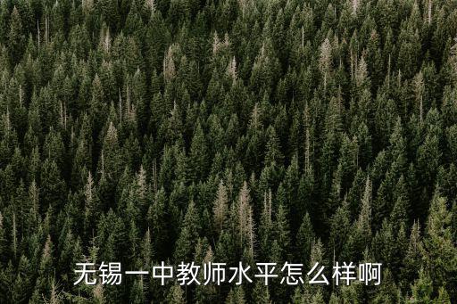 無錫一中教師水平怎么樣啊