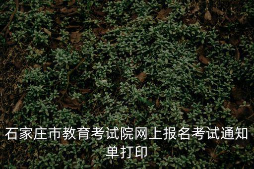 石家莊市教育考試院網(wǎng)上報(bào)名考試通知單打印