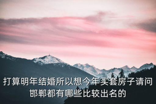 打算明年結婚所以想今年買套房子請問邯鄲都有哪些比較出名的