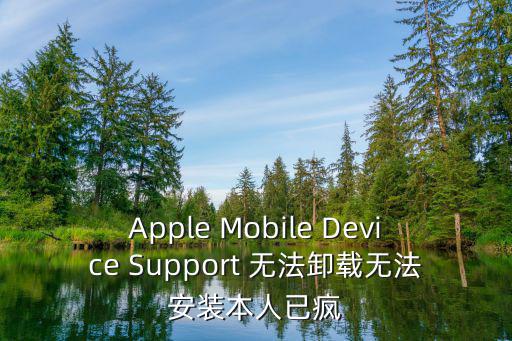 Apple Mobile Device Support 無法卸載無法安裝本人已瘋