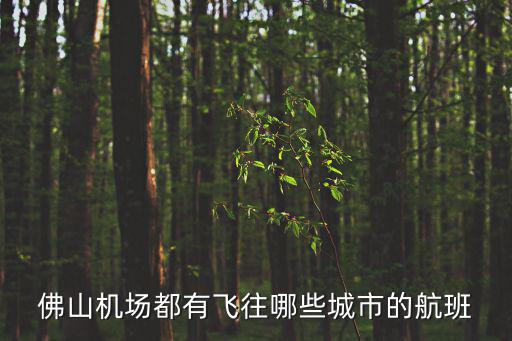 佛山機場都有飛往哪些城市的航班