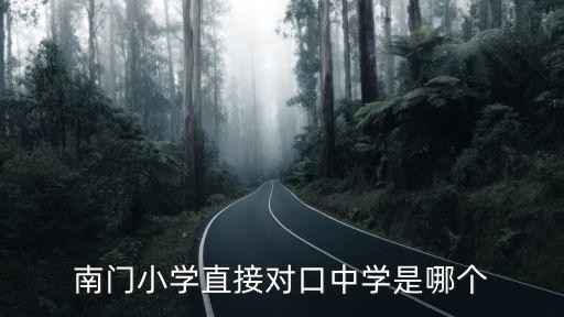 南門小學(xué)直接對口中學(xué)是哪個