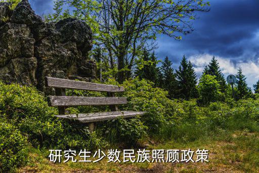 研究生少數民族照顧政策