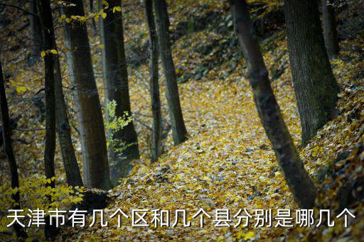 天津市行政區(qū)劃圖，天津市有幾個區(qū)和幾個縣分別是哪幾個