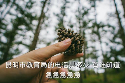 昆明市教育局的電話是多少 有誰知道 急急急急急
