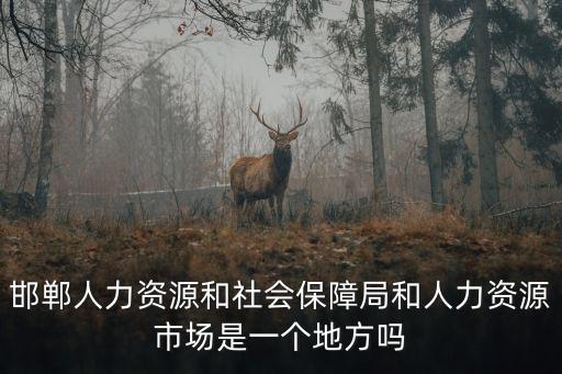 邯鄲人力資源和社會保障局和人力資源市場是一個地方嗎