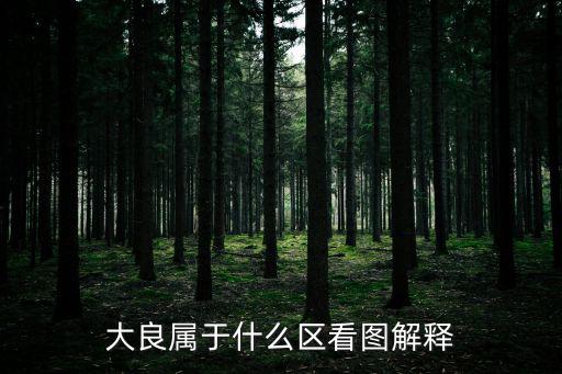 大良屬于什么區(qū)看圖解釋
