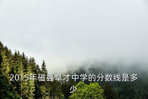 2015年磁縣阜才中學的分數(shù)線是多少