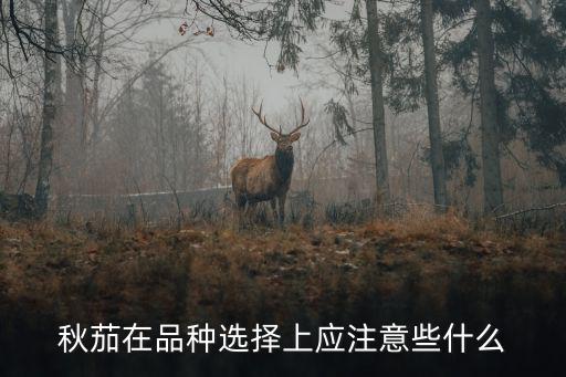秋茄在品種選擇上應注意些什么
