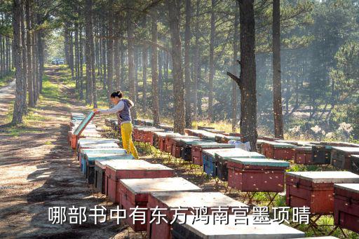 哪部書中有東方鴻南宮墨項晴