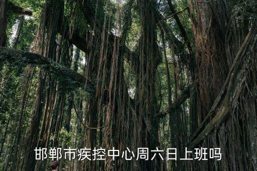 邯鄲市疾控中心周六日上班嗎