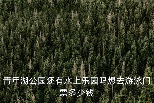 青年湖公園還有水上樂園嗎想去游泳門票多少錢