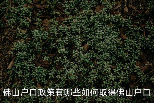 佛山戶口政策有哪些如何取得佛山戶口
