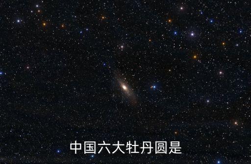 中國六大牡丹圓是