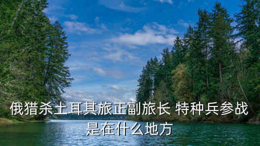 俄獵殺土耳其旅正副旅長 特種兵參戰(zhàn)是在什么地方