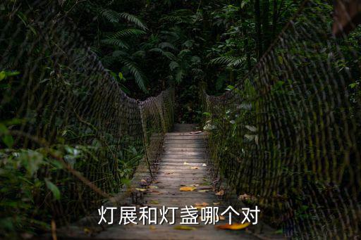 燈展和燈盞哪個對