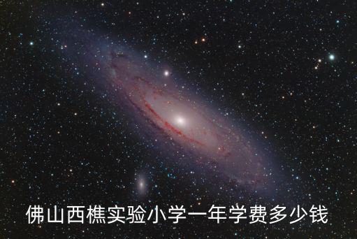 佛山西樵實(shí)驗(yàn)小學(xué)一年學(xué)費(fèi)多少錢