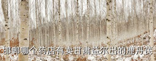 邯鄲哪個藥店有賣甘肅益爾出的鹿丹芪