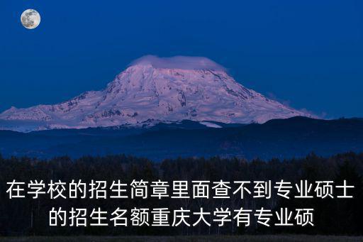 在學(xué)校的招生簡(jiǎn)章里面查不到專業(yè)碩士的招生名額重慶大學(xué)有專業(yè)碩