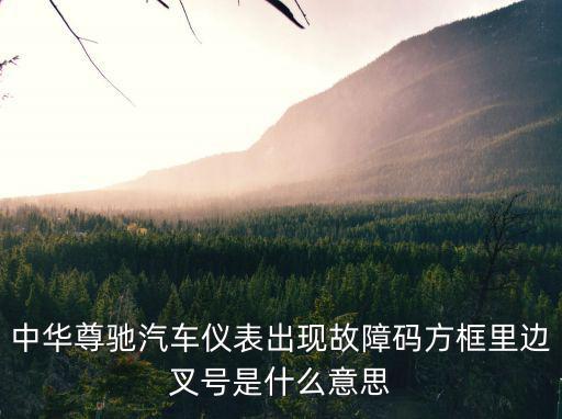 中華尊馳汽車儀表出現故障碼方框里邊叉號是什么意思