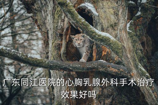 廣東同江醫院的心胸乳腺外科手術治療效果好嗎