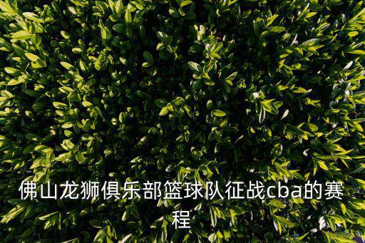 佛山龍獅俱樂部籃球隊征戰(zhàn)cba的賽程