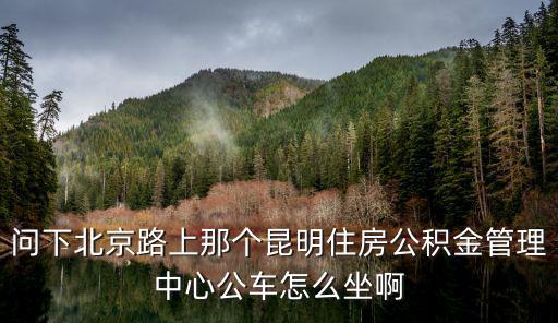 問(wèn)下北京路上那個(gè)昆明住房公積金管理中心公車怎么坐啊