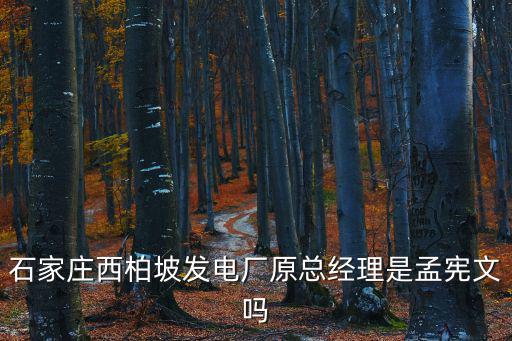 石家莊西柏坡發(fā)電廠原總經(jīng)理是孟憲文嗎
