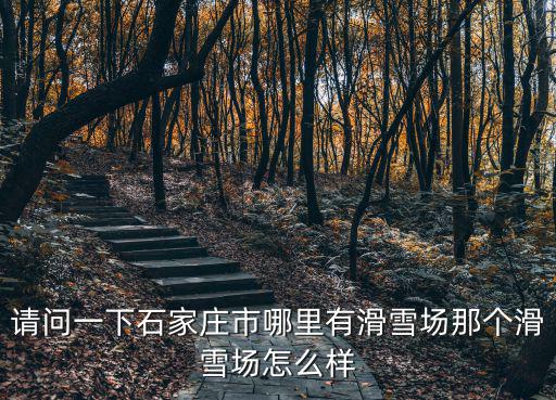 請(qǐng)問一下石家莊市哪里有滑雪場(chǎng)那個(gè)滑雪場(chǎng)怎么樣