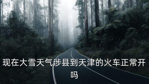 現在大雪天氣涉縣到天津的火車正常開嗎