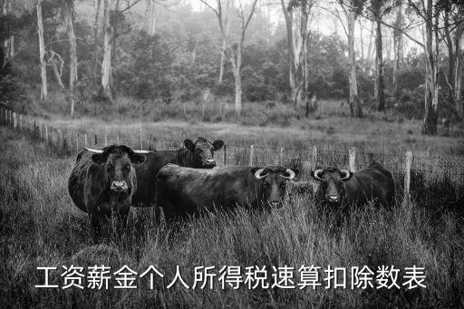 工資薪金個人所得稅速算扣除數表