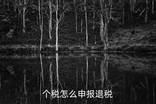 個稅怎么申報退稅