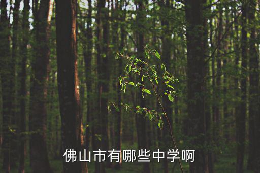 佛山市有哪些中學啊