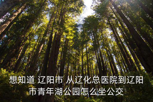 想知道 遼陽市 從遼化總醫院到遼陽市青年湖公園怎么坐公交