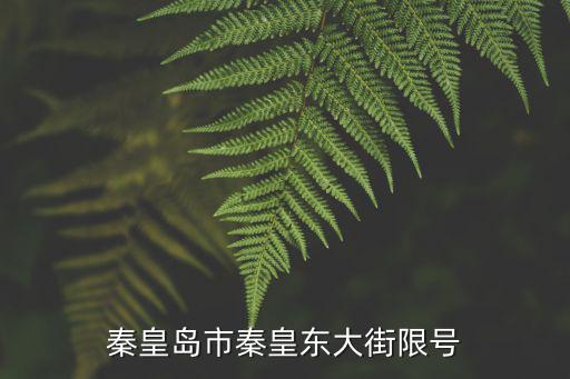 秦皇島市秦皇東大街限號