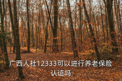 廣西人社網上服務大廳，社保網上辦事大廳