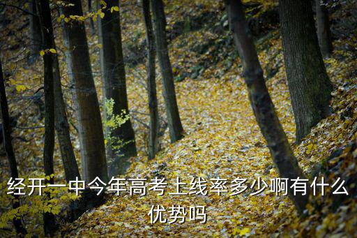 經開一中今年高考上線率多少啊有什么優勢嗎