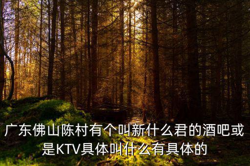 廣東佛山陳村有個叫新什么君的酒吧或是KTV具體叫什么有具體的