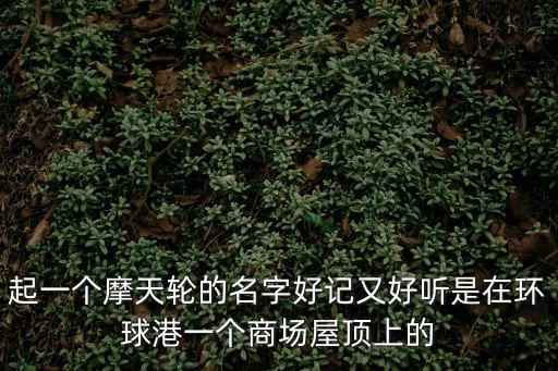 起一個摩天輪的名字好記又好聽是在環(huán)球港一個商場屋頂上的