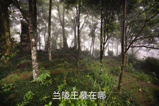 蘭陵王墓在哪