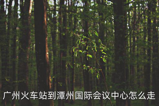 廣州火車站到潭州國際會議中心怎么走