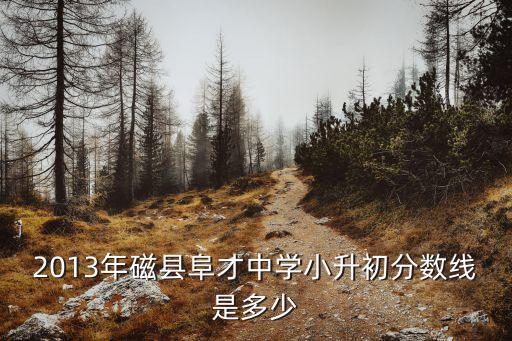 2013年磁縣阜才中學小升初分數(shù)線是多少