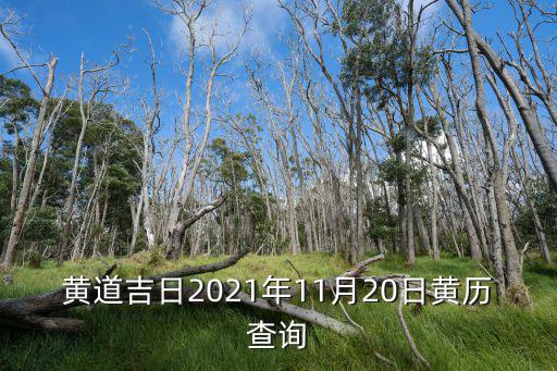 11月20，距離2023年11月20日還有多少天
