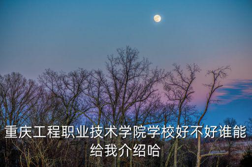 重慶工程職業技術學院學校好不好誰能給我介紹哈