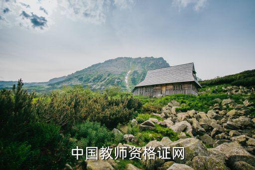 中國教師資格證網
