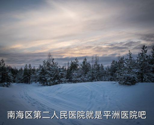 南海區第二人民醫院就是平洲醫院吧