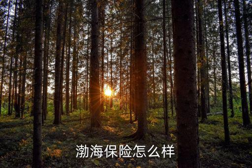 渤海保險怎么樣